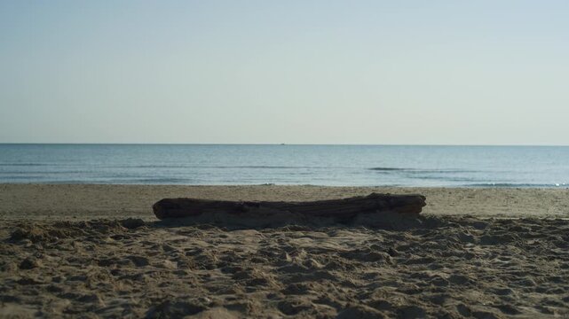Driftwood beach sand sea horizon, handheld static shot of a weathered wooden log lying on the shore with calm blue water and clear sky during sunny daylight.