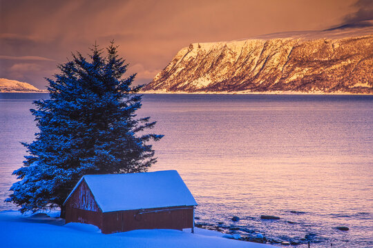 Winter at Raffelneset, Hareid, Sunnm&oslash;re, Norway