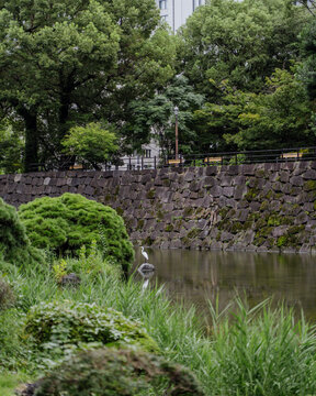 Parc Hibiya Tokyo Nature Paisible