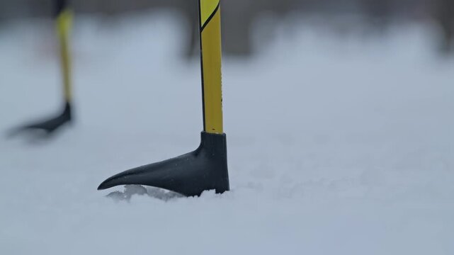 Ski pole presses into soft white snow as an athlete begins Nordic skiing