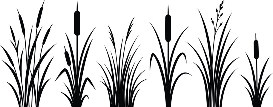 Hand drawn cattail reeds and ornamental grasses botanical silhouette collection