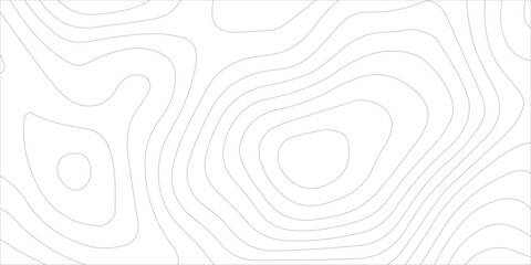 Abstract White Wave Paper Relief Background with Smooth Curved Topographic Contour Lines and Elegant Geographic Map Texture Design © Inaya