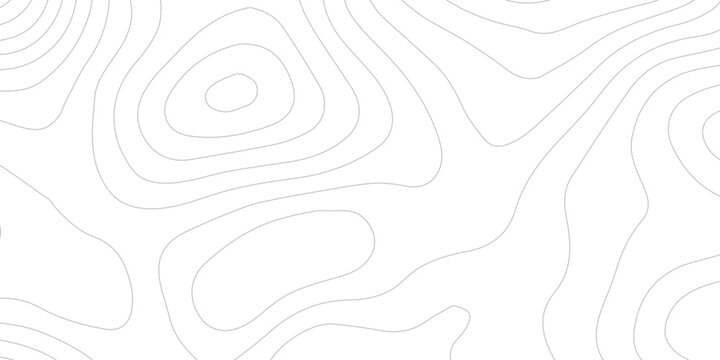 White Geographic Contour Pattern with Abstract Wave Reliefs, Smooth Elevation Curves and Sophisticated Minimal Topography Background Design