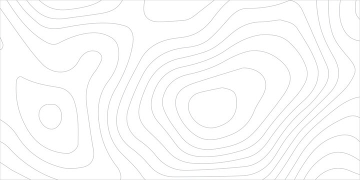Abstract White Wave Paper Relief Background with Smooth Curved Topographic Contour Lines and Elegant Geographic Map Texture Design