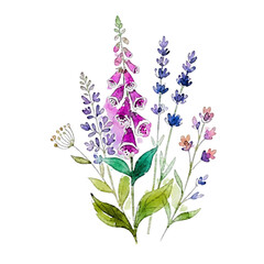 Watercolor wildflower bouquet illustration with purple foxglove and lavender isolated on white background © NOORNABILA