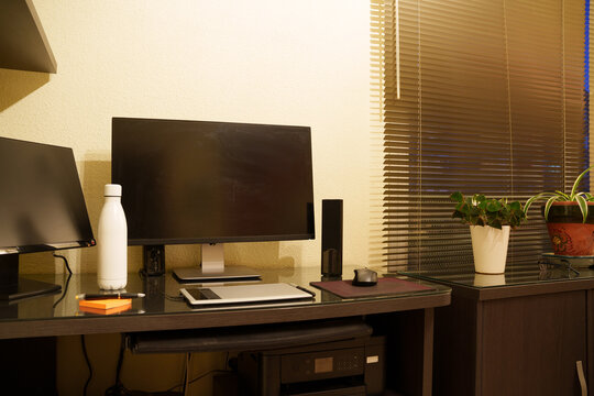 Warm home office workspace with laptop monitor speaker notebook water bottle eyeglasses and smartphone on wooden desk beside potted plants under dusk ambient light