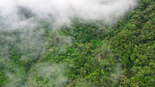 The mountain range is covered with evergreen rain forest. Cordillera on Luzon Island, Philippines, aerial view.