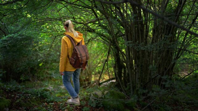 Female traveler in yellow rain jacket walks alone through lush forest trail carrying vintage camera, combining hiking, outdoor exploration and nature photography in peaceful spring or autumn landscape