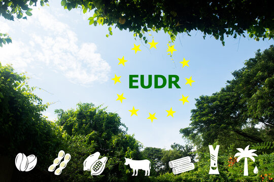 EUDR text and icon on natural background.