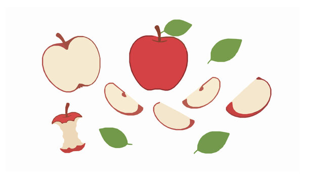 Fresh Red Apple Fruit Vector Collection with Slices, Core, Seeds and Green Leaves