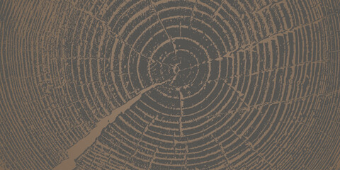 Fototapeta premium Tree ring pattern showcasing natural wooden texture vector illustration background. Annual growth circles create stunning organic backdrop with dark grain details for luxury poster and cover layouts.