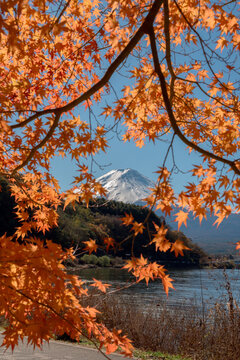 Breathtaking scenic view of autumn foliage by lake Kawaguchiko in Japan creates peaceful atmosphere with snowcapped mountain backdrop