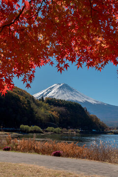 Peaceful autumn view at kawaguchiko lake in japan showing majestic snow mountain with tranquil atmosphere inspiring serene feeling