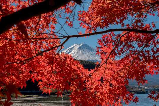Breathtaking view of autumn at Kawaguchiko lake in Japan featuring peaceful mountain scene that evokes sense of deep wonder and serenity
