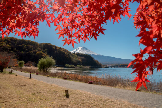 Peaceful autumn landscape at lake kawaguchiko in japan with vibrant red maple leaf frames and majestic mountain view brings joyful mood