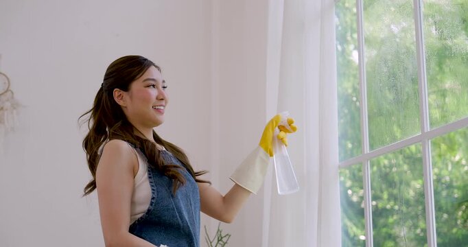 Young Asian woman smiles while cleaning large window, holds spray bottle, wipes glass in repeated motion, enjoying productive home maintenance and cozy weekend housekeeping inside bright apartment