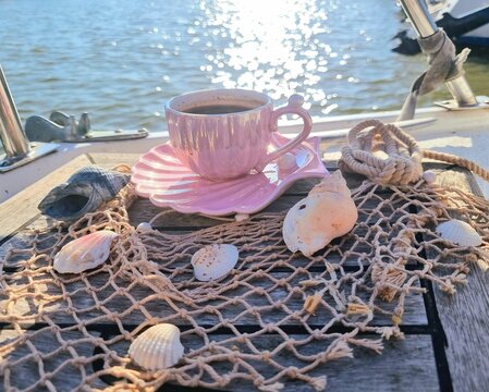 Pink cup with seashells on seaside table in summer sunlight