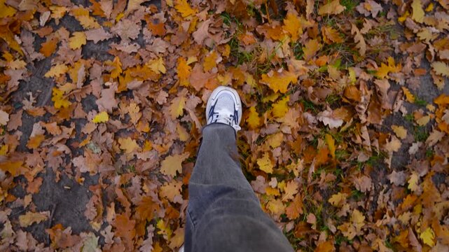 First‑person shot, women&rsquo;s legs in gray jeans and sneakers, walking on dry orange leaves.