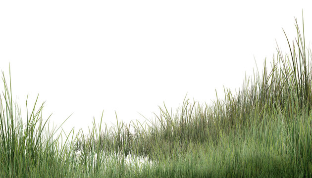 green grass background/High-resolution realistic green grass isolated on transparent background, perfect for architectural rendering and graphic design.