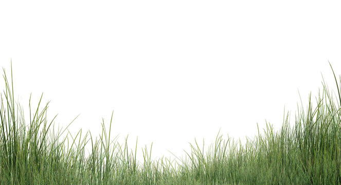 green grass background/Fresh green grass field isolated on white background, sharp detail high resolution PNG cutout for landscape design and graphic composition.