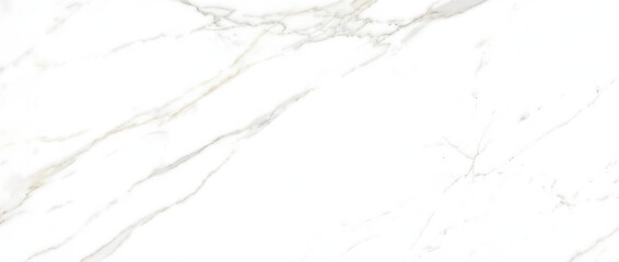 Fototapeta premium Elegant Calacatta marble texture background with fine gray gold veins streaking across white polished stone for interior design