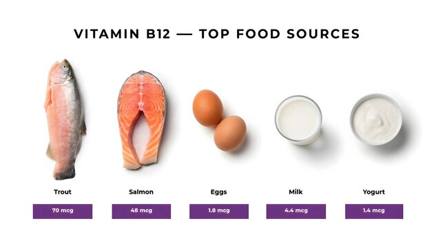 Top food sources of vitamin b twelve displayed in a flat lay infographic
