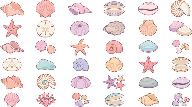 Hand Drawn Seashell Collection with Starfish, Sand Dollars, Scallops, Conch Shells, Coral and Colorful Ocean Treasures