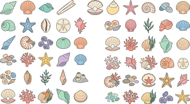 Hand Drawn Seashell and Ocean Collection with Starfish, Coral, Conch, Nautilus, Sand Dollars and Coastal Marine Elements