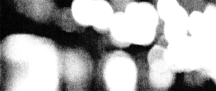 Large soft-edged black and white organic forms with dense printed halftone texture.