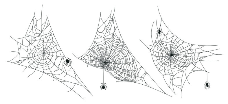Halloween spider web. Spooky horror october party spider cobweb decor flat vector illustration set. Halloween hanging spider web on white