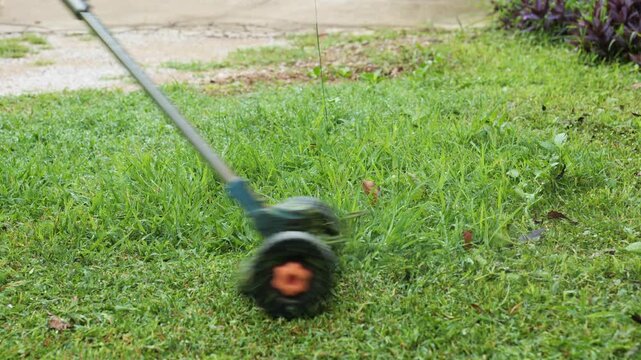 Small Electric Lawn Mower with Tank Tracks Cutting Grass in Garden	