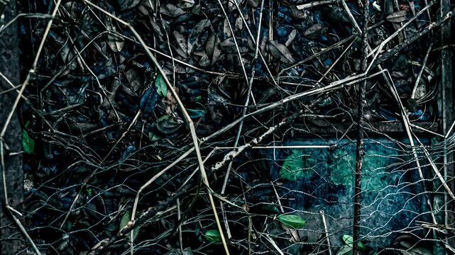 Dense branches and wire mesh abstract background