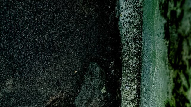 Rough textured concrete and moss pattern