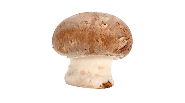 brown mushroom, crimini mushroom, agaricus, champignon, fresh mushroom, mushroom PNG, PNG
