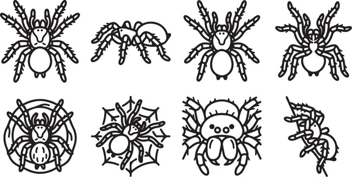 Black and white spider illustrations set