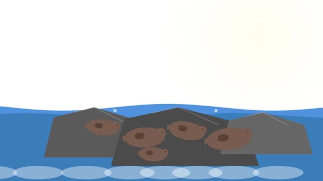 Minimalist vector illustration of brown rocks and pebbles partially submerged in calm blue water against a clean white background