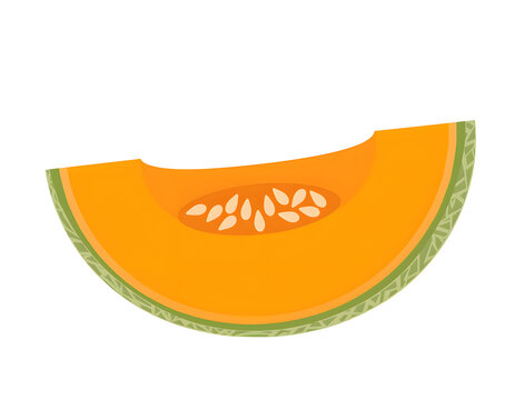 Fresh cantaloupe melon slice with visible seeds and textured green rind on a black background