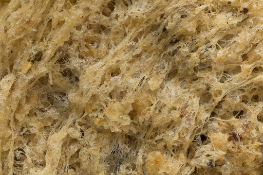 Close-up of Thai fluffy fried catfish (pla duk foo), crispy deep-fried shredded catfish with golden texture. Popular Thai street food known for its light and airy crunch.