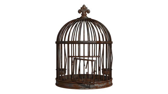 Rusty metal birdcage with broken door and vintage fleur de lis top design symbol for freedom imprisonment concept art gothic decoration digital file.