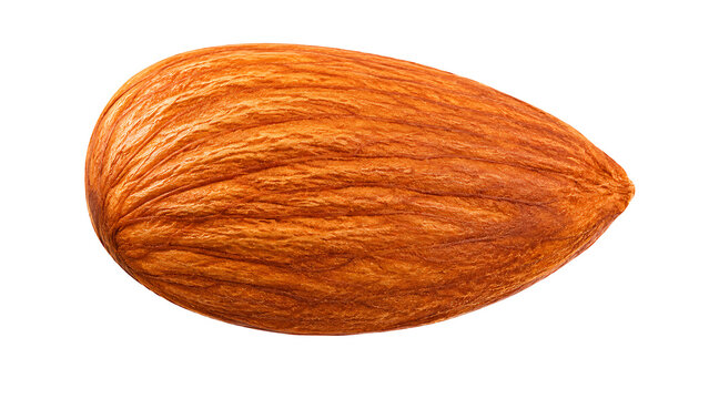 Single raw almond nut close up isolated on a white background