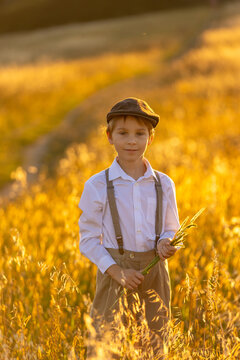 Sweet preteen child, boy, playing in a field on sunset with kite and old vingate car, walking with grandmother in the countryside