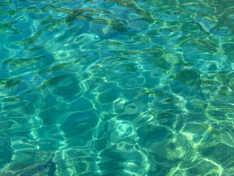 Calm rippled sea water background