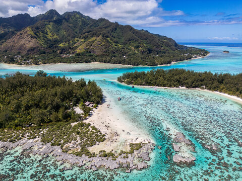 Aerial view of Mo'orea island with its vibrant turquoise lagoon, coral reef, lush tropical vegetation, and rugged volcanic mountains in Moorea-Maiao, Windward Islands, French Polynesia.