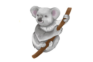 Cute watercolor koala climbing a eucalyptus tree branch in a natural wildlife scene  © noor
