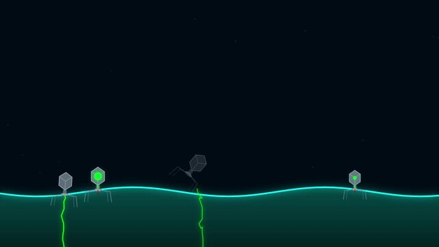 Microscopic bacteriophage virus cell infection 2D animation sequence depicting biological interaction on a cellular surface