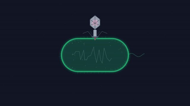 2D animation showing a bacteriophage virus infecting a bacterial cell with DNA structure on a dark background for science education