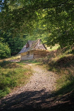 Hiking trail leading to old wooden cabin in green forest
