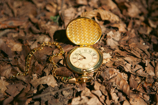 Vintage pocket watch on the background of fallen leaves. Time concept