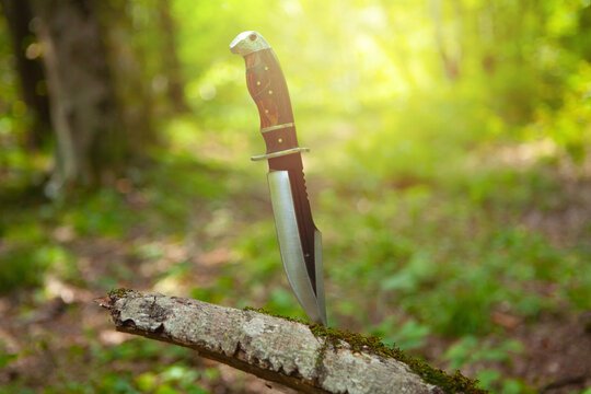Hunting knife on a log in the forest. Selective focus.