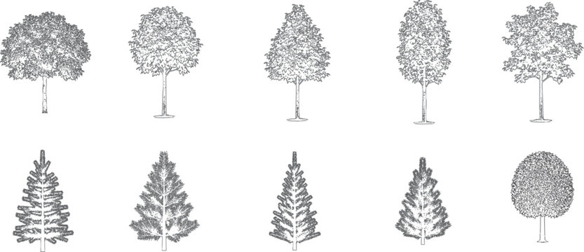 Vector Pack of Trees in Elevation and Plan View for Architectural Drawings